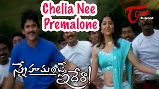 Snehamante Idera Full Length Telugu Movie  Akkineni Nagarjuna Movies  Nagarjuna Sumanth Bhoomika [upl. by Lathrop]