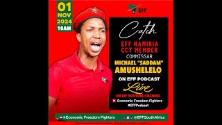 EFF Podcast Episode 52 Namibia November 2024 General Elections [upl. by Aivatahs202]