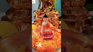 pimpalachya panavar pahile chitra gautamche song subscribe [upl. by Notkcorb]