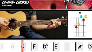 Wild World  Cat Stevens  EASY GUITAR CHORDS  Common Chords [upl. by Dorrehs]