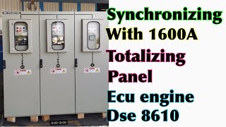 SYNCHRONIZING WITH 1600A TOTALIZING PANEL benzblogs [upl. by Anaidni468]