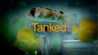 TANKED New Episodes Friday at 9PM EP [upl. by Etiragram360]