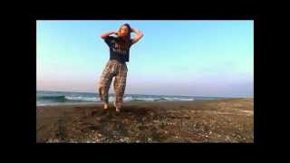 Dance on Whistle Baja  Beach Version [upl. by Asen495]