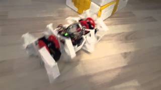 The Beest  first walk A 3D printed robotic walker [upl. by Avis744]