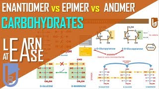 Enantiomer vs Epimer vs Anomer Carbohydrates [upl. by Henriette241]