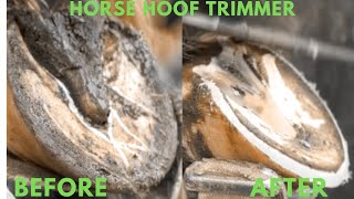 Horse Hoof Trimmer [upl. by Ihtraa]