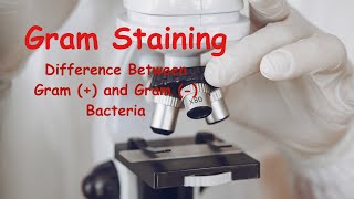 Gram StainingGram Positive and Gram Negative BacteriaBScNEETCUETLife Science Classes [upl. by Nagad]