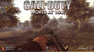 Call of Duty World at War  2020 Multiplayer  Seelow 319 [upl. by Cataldo]