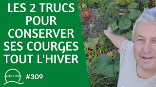 309Les 2 trucs pour conserver ses courges tout lhiver 🎃 [upl. by Domenico]