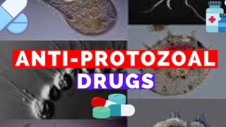 Antiprotozoal Drugs  Metronidazole Bactrim Suramin Pentamidine Eflornithine Fansidar [upl. by Flss]