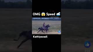 OMG 😳 speed 🚄 horse trendingshorts viralshorts new kathiyawadihorse horsefan horselover new [upl. by Anahsahs263]