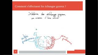 Le fonctionnement de lappareil respiratoire [upl. by Sudderth]