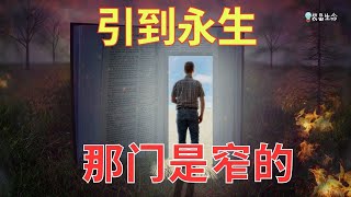 生命智慧 536【引到永生，那门是窄的】所罗门说你不可像那无知的骡马 l 装备生命· [upl. by Enortna587]