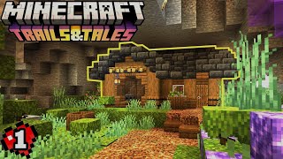 The PERFECT START Lets Play Minecraft 120  1 [upl. by Berget]