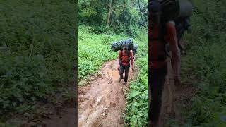 hiking Kilimanjaro lemosho route [upl. by Niuq]