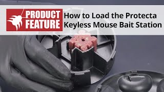 How to Load the Protecta Keyless Mouse Bait Station  DoMyOwncom [upl. by Wilber]