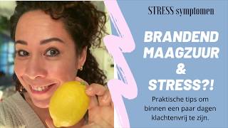 Wat Te Doen Bij Brandend Maagzuur Bij Stress en BURNOUT [upl. by Anisah]