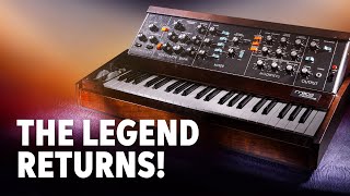 Moog Minimoog Model D Demo – Daniel Fisher [upl. by Pius228]