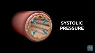 Systole vs Diastole  Match Health [upl. by Enirroc]