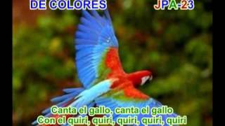 DE COLORES  SPANISH TRADITIONAL SONG [upl. by Dolley]