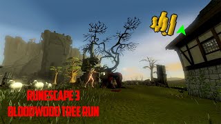 Runescape 3 Bloodwood Tree Run Guide Easy GP 2020 [upl. by Fattal]