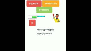 🌈 Beckwith Wiedmann Syndrome Mnemonic 🌈 [upl. by Kloman]