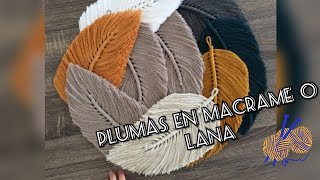 HERMOSAS PLUMAS EN MACRAMÉ O LANA SUPER FÁCILES DE HACER ANDREA G BRAVO [upl. by Atnoled]