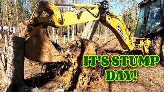 Getting the stumps out of the house build spot farm tiny house homesteading RV life RV living [upl. by Walli]