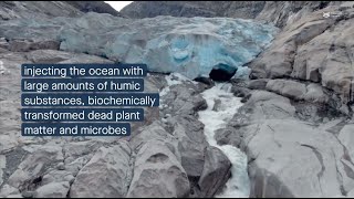 From land to sea Charting Arctic ocean microbes’ capacity to break down terrestrial organic matter [upl. by Lekim]