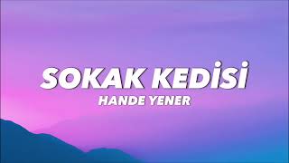 HANDE YENER  SOKAK KEDİSİ lyrics sözleri [upl. by Serene]