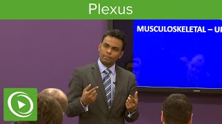 Plexus Structure amp Overview – MRCS  Lecturio [upl. by Htiel]