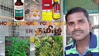 Deworming tips for birds in tamil [upl. by Hackathorn]