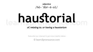 Pronunciation of Hautbois  Definition of Hautbois [upl. by Dorree]