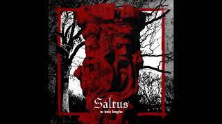 Saltus  W imię Bogów Full Album [upl. by Dnomal]