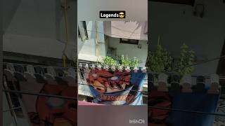 Normal people🤓 vs legends😎youtubeshorts goldenretiever tag viral shorts statustrending [upl. by Nnuahs509]