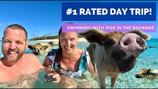 Swimming With Pigs in The Bahamas THE ORIGINAL SWIMMING PIGS [upl. by Neddy]