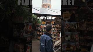 Wandering Through Amsterdams Vibrant Flower Market 🌼✨ [upl. by Ahsieyt491]