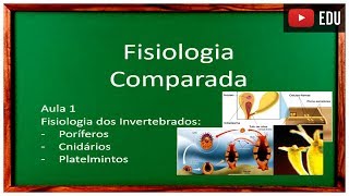 Aula 1 Fisiologia Comparada [upl. by Hammock989]