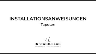 INSTALLATIONSANWEISUNGEN by Instabilelab  DEU [upl. by Ahsieat991]