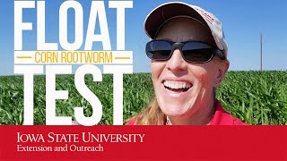 What is the FLOAT TEST  How to Find Corn Rootworms [upl. by Enattirb]