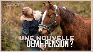 ANNONCE  une nouvelle demi pension  Je vous emmène avec moi aux écuries 🫶🏻 [upl. by Willett229]