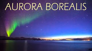 The Northern Lights Explained Beauty Science and Best Viewing Spots [upl. by Lamori]