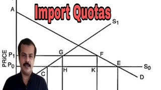 Import Quotas  Effects of an Import Quota [upl. by Anoli790]