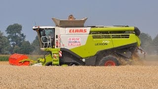 Claas Lexion 770TT  Loonwerken De Bruyne  tarwe dorsen [upl. by Sondra914]