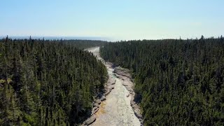 Quebecs Anticosti Island named UNESCO heritage site [upl. by Eerej]