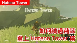 【薩爾達傳說 荒野之息】HatenoTower：如何爬上這座佈滿荊棘的高塔 [upl. by Enitnelav581]