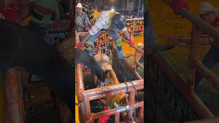 Crazy Bull Riding [upl. by Fischer]