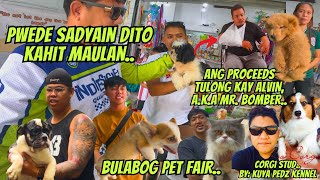 SOLID MGA AVAILABLE NGAYONG BULABOG KENNEL PET FAIR AT MEDICAL ASSISTANCE DRIVE PARA KAY BOMBER [upl. by Dihaz]