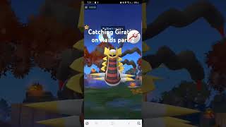 Catching Giratina part 2 Pokemon GO fly 🔥🔥 pokemongo gaming glitch smartphonegamer [upl. by Moreville]