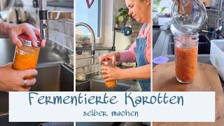 Karotten fermentieren  Probiotisches Powerfood  Gesundes für den Darm [upl. by Jacqui]